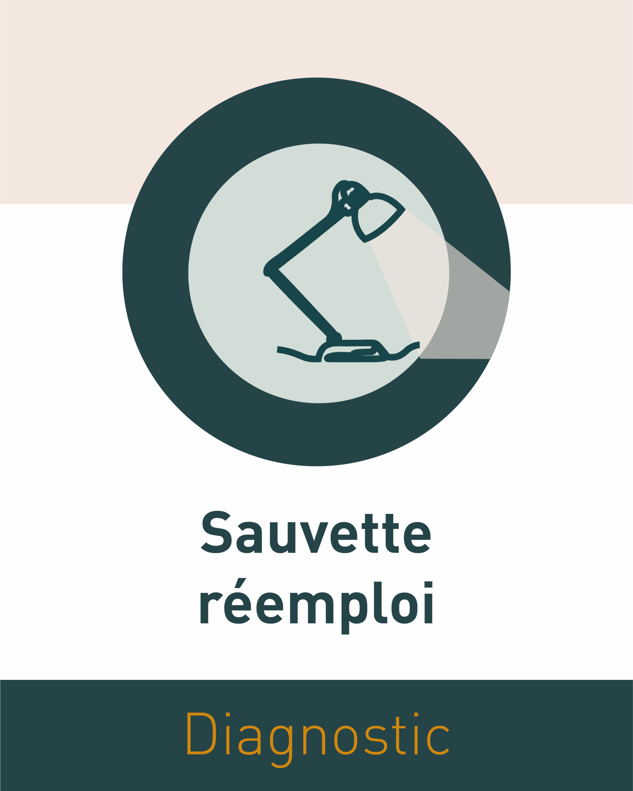 picto reemploi 03